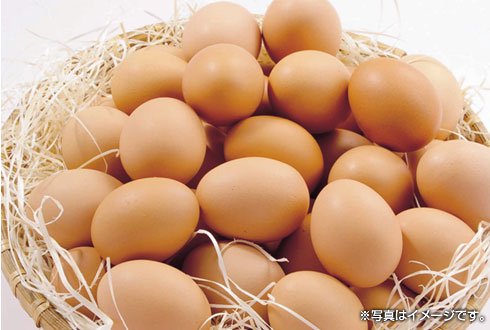 コケコッコー共和国の卵。