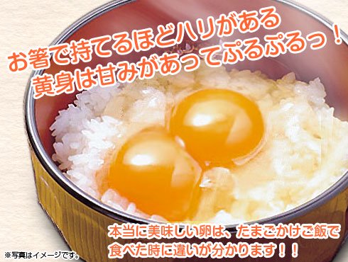 有精卵の卵かけご飯。お箸で持てるほどハリのある黄身は甘みがあってぷるぷる！