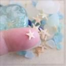 超ミニヒトデ(スターフィッシュ) 0.5〜1.2cm 約12個