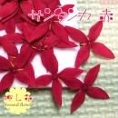 押し花 サンタンカ(赤)