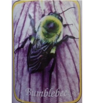 【sc】Wild Earth アニマルエッセンス リサーチ バンプルビー(まるはなばち) Bumblebee 30ml