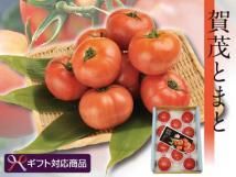 《ギフト対応》賀茂とまと 詰め合わせ(約2kg)/クール便<img class='new_mark_img2' src='//img.shop-pro.jp/img/new/icons25.gif' style='border:none;display:inline;margin:0px;padding:0px;width:auto;' />