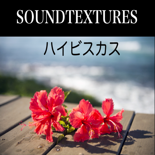 著作権フリー音楽 ロイヤリティフリーbgm Soundtextures Resort Beach リゾート ビーチ 太陽が燦々と降り注ぐ真夏のビーチを連想させるフラ2ビートサウンド ウクレレ ギター生演奏 ハイビスカス