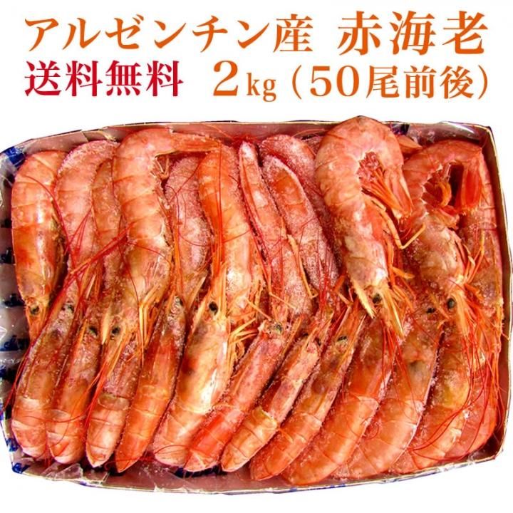 送料無料 アルゼンチン産 有頭赤海老 2kg 50尾前後 えび エビ 海老 紅ズワイガニ ずわい蟹 タラバガニ 塩引き鮭 カニ通販 小針かに屋 小針水産