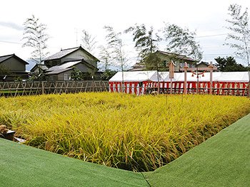 平成20年度新嘗祭（にいなめさい）富山県代表の「献上米」