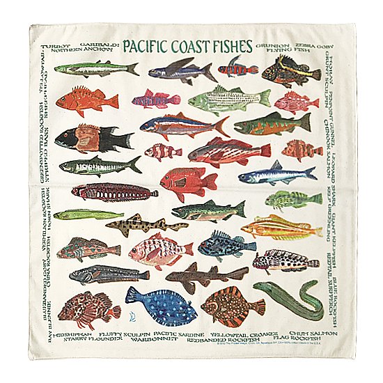 THE PRINTED IMAGE：バンダナ「Pacific Coast Fishes」