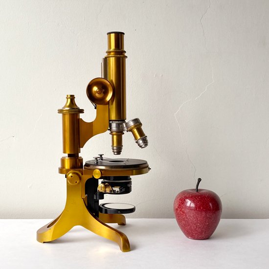 Vintage Miscellaneous: Microscope / Ernst Leitz Welzlar- Swimsuit  Department Shop Online