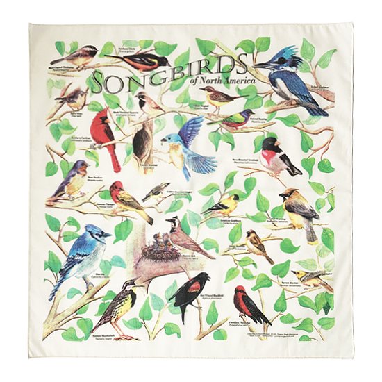 THE PRINTED IMAGE：バンダナ「Song Birds」