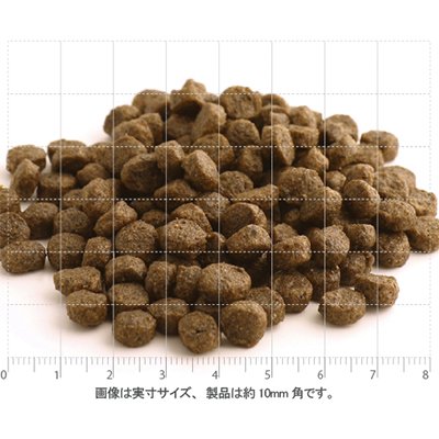 フィッシュ4ドッグ公式オンラインショップ パピー 小粒 1.5kg