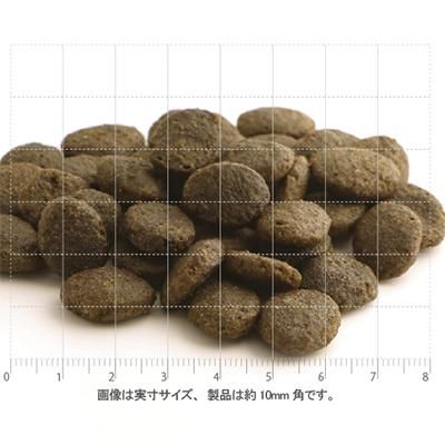 フィッシュ4ドッグ公式オンラインショップ サーモン 大粒 6kg