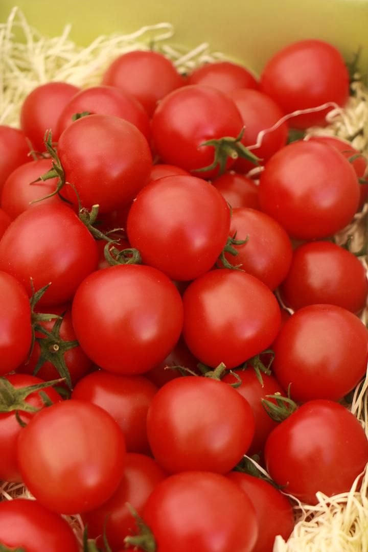 ポッポちゃん(中玉トマト） - 大熊農園