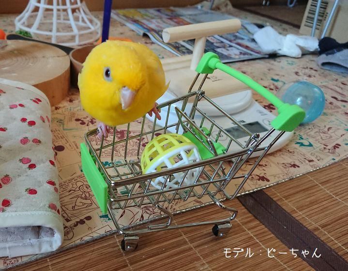 小 中型さん向き輸入おもちゃ ショッピングカート とりまに 鳥さん用品専門店 小 中型さん向き輸入おもちゃ ショッピングカート とりまに 鳥さん用品専門店