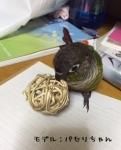 <img class='new_mark_img1' src='https://img.shop-pro.jp/img/new/icons57.gif' style='border:none;display:inline;margin:0px;padding:0px;width:auto;' />ѡġޥܡ極̵忧ˢĥåȤˤʤޤ