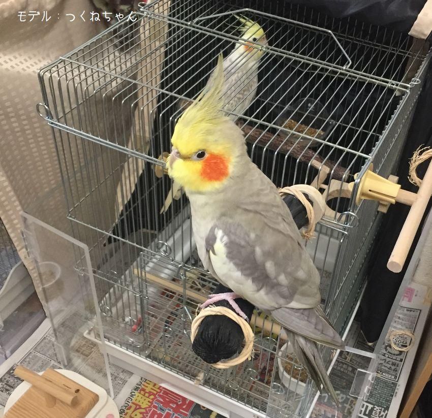 超高品質で人気の186本目 備長炭 とまり木 Mサイズ インコなどの小鳥に ...