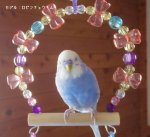 <img class='new_mark_img1' src='https://img.shop-pro.jp/img/new/icons13.gif' style='border:none;display:inline;margin:0px;padding:0px;width:auto;' />Jerry's bird toy〇Swing ribbon・ピンクＳサイズ（オールステンレス製）