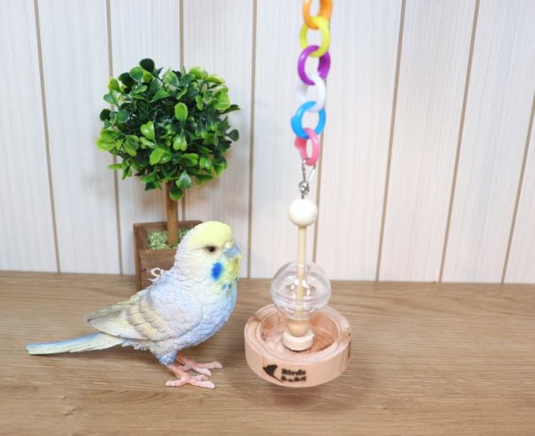 74%OFF!】 ハンドメイド セキセイインコ スライドミラー azuraftu.mg