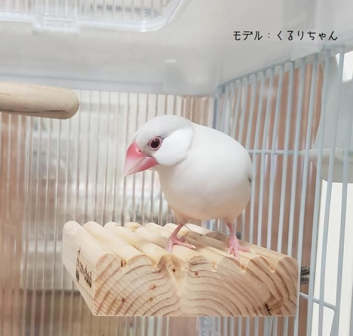 ヒノキの台 楽天市場】ひのき万能台 S 24×24 桧 ナガノ産業 代引不可