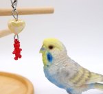 <img class='new_mark_img1' src='https://img.shop-pro.jp/img/new/icons13.gif' style='border:none;display:inline;margin:0px;padding:0px;width:auto;' />Jerry's bird toy〇My・Heart※ステップスタンドにも！
