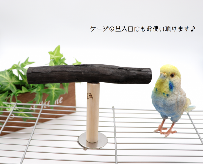 ＨＯＥＩ Ｔ字止まり木 直径２０ｍｍ セキセイ オカメ 小型インコ オウム 【在庫僅少】