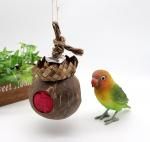 <img class='new_mark_img1' src='https://img.shop-pro.jp/img/new/icons13.gif' style='border:none;display:inline;margin:0px;padding:0px;width:auto;' />淿͢ե쥤󥰥ȥ