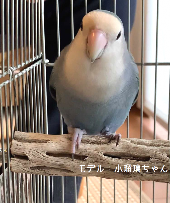 スミ様専用 カクタスパーチ 大型インコ、オウム用 太め 2本-