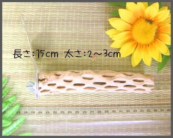 ナチュラルパーチ○カクタスパーチS - とりまに☆鳥さん用品専門店