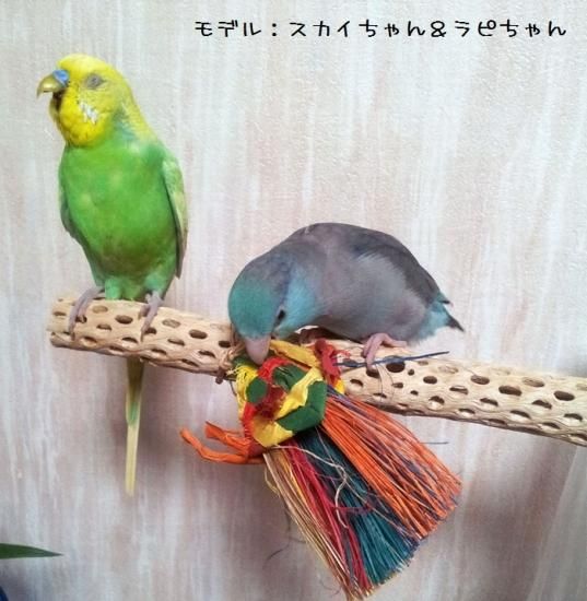 ネット限定】 スミ カクタスパーチ 大型インコ、オウム用 太め 2本 