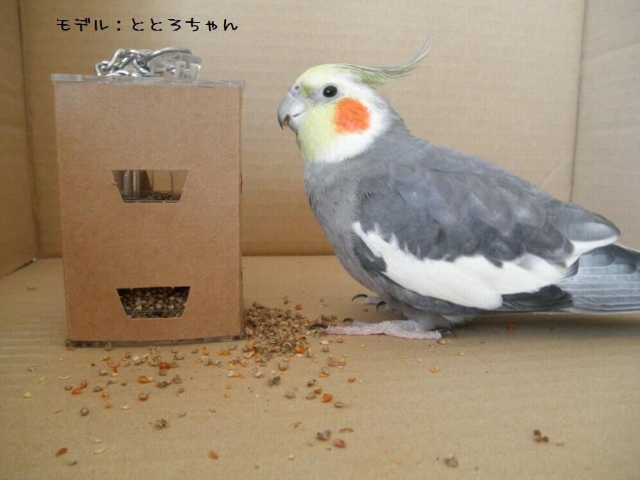鳥さん専用 ミニサイズ☆鳥さん専用パソコン型ミラー！ - とりまに☆鳥さん