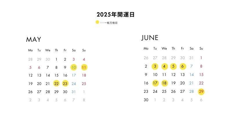 トップ