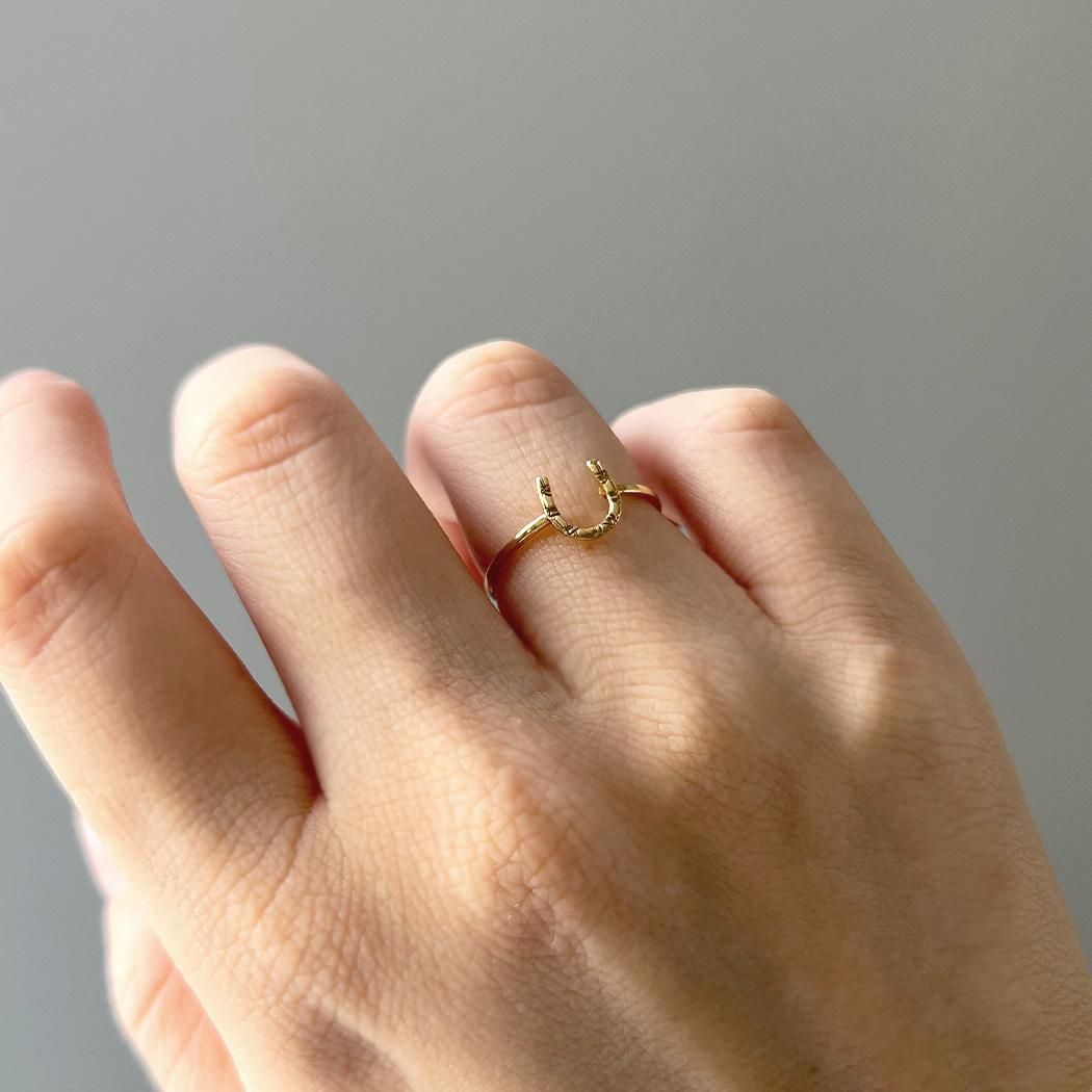 Malino711さま イロンデール ホースシューリング Malino711さま