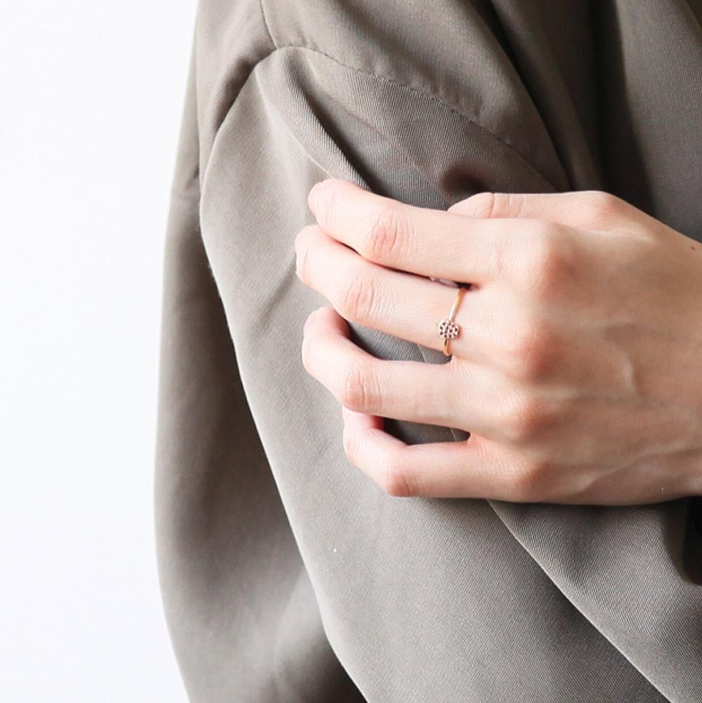 hirondelle et pepin / k18 hr-20fw-565 フルーツパヴェ apple りんご