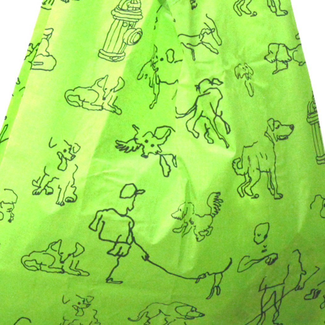 Dinosaur baggu online