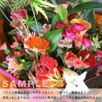 花材セット オレンジ  Ｎｏ．610 花材セット オレンジ No．610