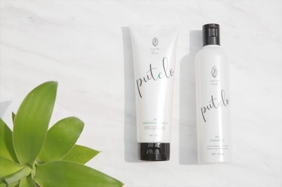 送料無料】プテロ AR シャンプー 300ml+プテロ AR ヘア＆スカルプ