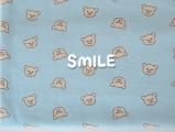 ˥åСŷ/SMILE/饤ȥ֥롼