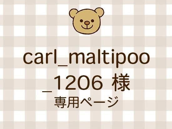 carl_maltipoo_1206 ͥ饤ʬ(10/24)