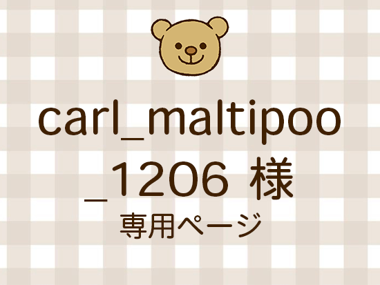 carl_maltipoo_1206 ͥ饤ʬ(11/21)