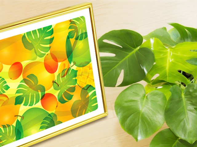 観葉植物モンステラと風水果実アートマンゴー＆モンステラのイメージ