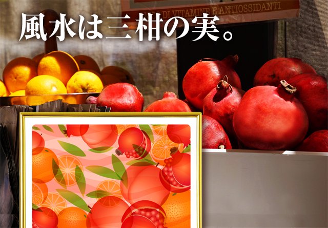 風水果実アートプレミアム三柑の実　橙イメージ