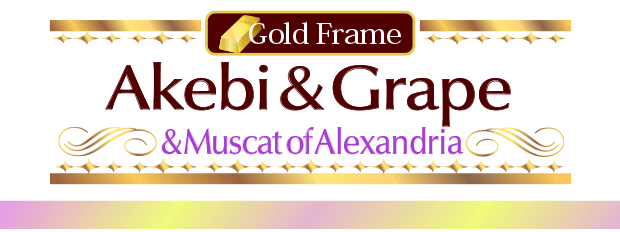 Feng shui Art Gold Frame Akebi& Grape