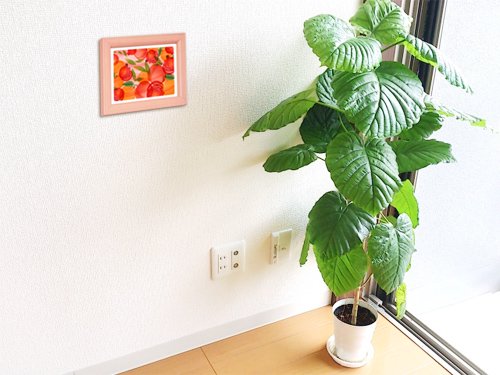 観葉植物ウンベラータと風水絵画アムール2Lイメージ