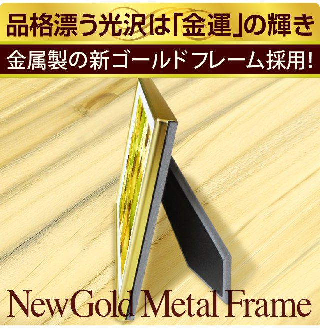 こ美しい光沢は、「金運」の輝きゴールドフレーム採用。Gold Steel Frame