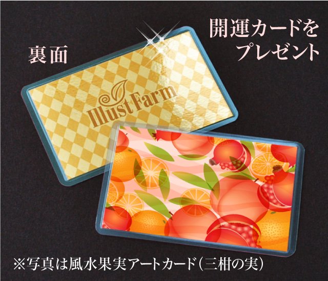 開運カードをプレゼント風水果実アートカード（三柑の実 橙）