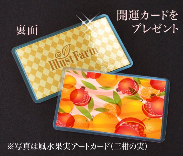開運カードをプレゼント風水果実アートカード（三柑の実 黄金桃）