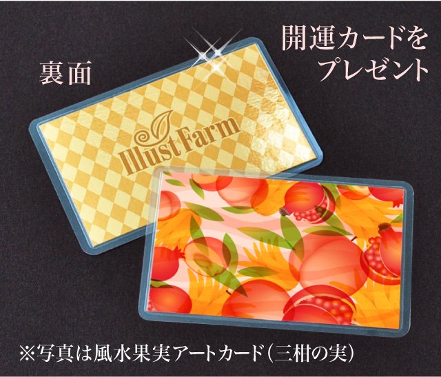 開運カードをプレゼント風水果実アートカード（三柑の実 仏手柑）