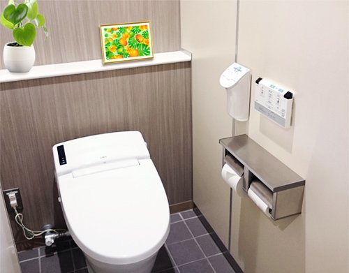 風水果実アート マンゴー＆モンステラ2のトイレに飾ったイメージ