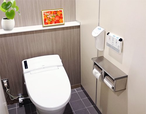 風水果実アート プレミアム 三柑の実（橙）のトイレに飾ったイメージ