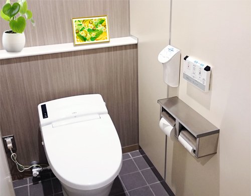 風水果実アート プレミアム バナナ＆ヤシ＆フランジパニのトイレに飾ったイメージ