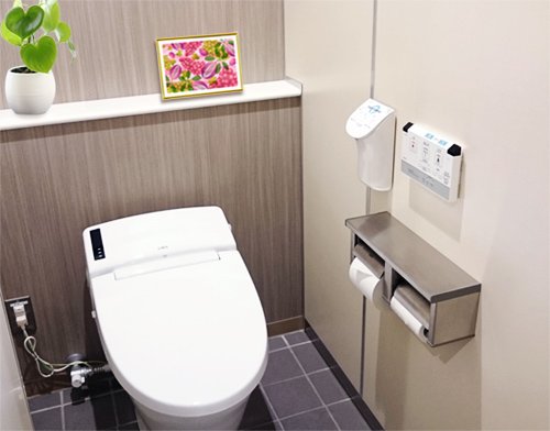 風水果実アートプレミアム アケビ＆ブドウをトイレに飾ったイメージ