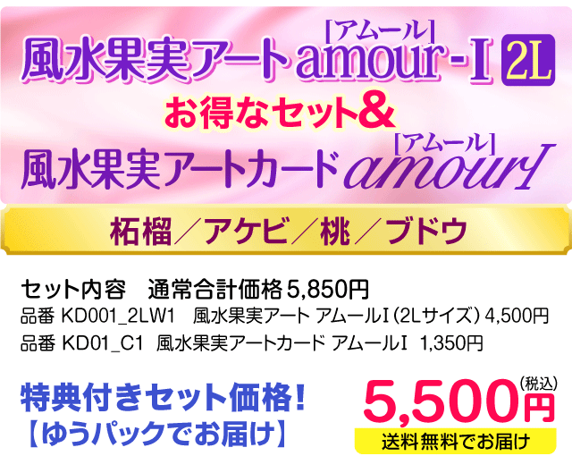 風水果実アートamour-1（2L） 風水果実アートカード アムール1セット価格 5,500円